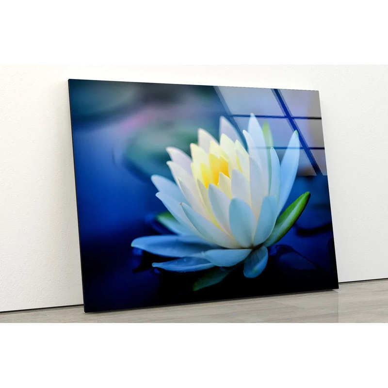 White Flower Closeup UV Direct Aluminum Print Australian Made Quality