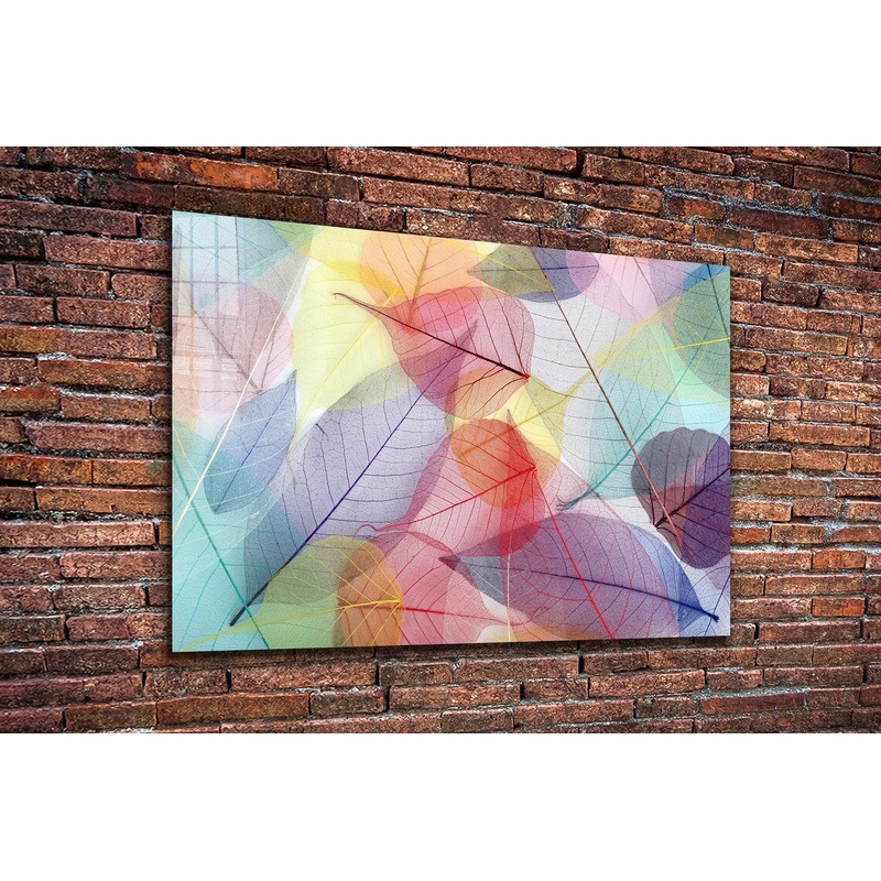 Abstract X-Ray Leaves UV Direct Aluminum Print Australian Made Quality