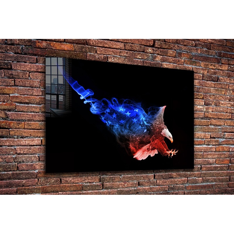 American Eagle Abstract UV Direct Aluminum Print Australian Made Quality