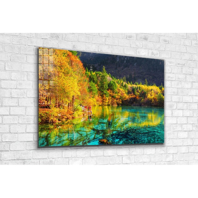 Autumn Nature Scenery UV Direct Aluminum Print Australian Made Quality