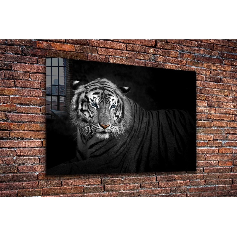 B&W Tiger Closeup View UV Direct Aluminum Print Australian Made Quality