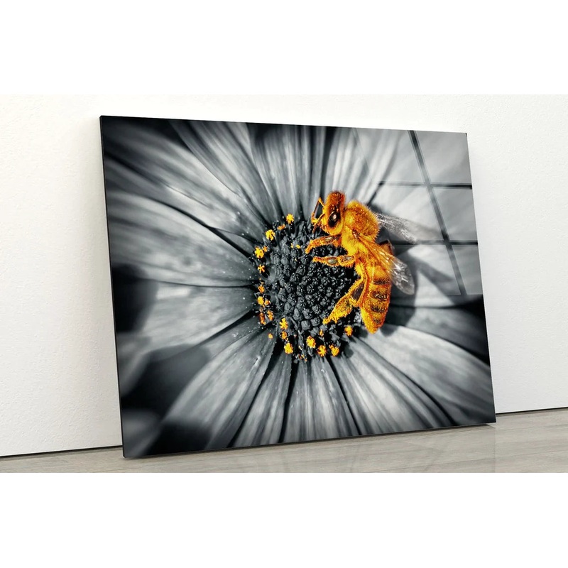 Bee on B&W Sunflower UV Direct Aluminum Print Australian Made Quality