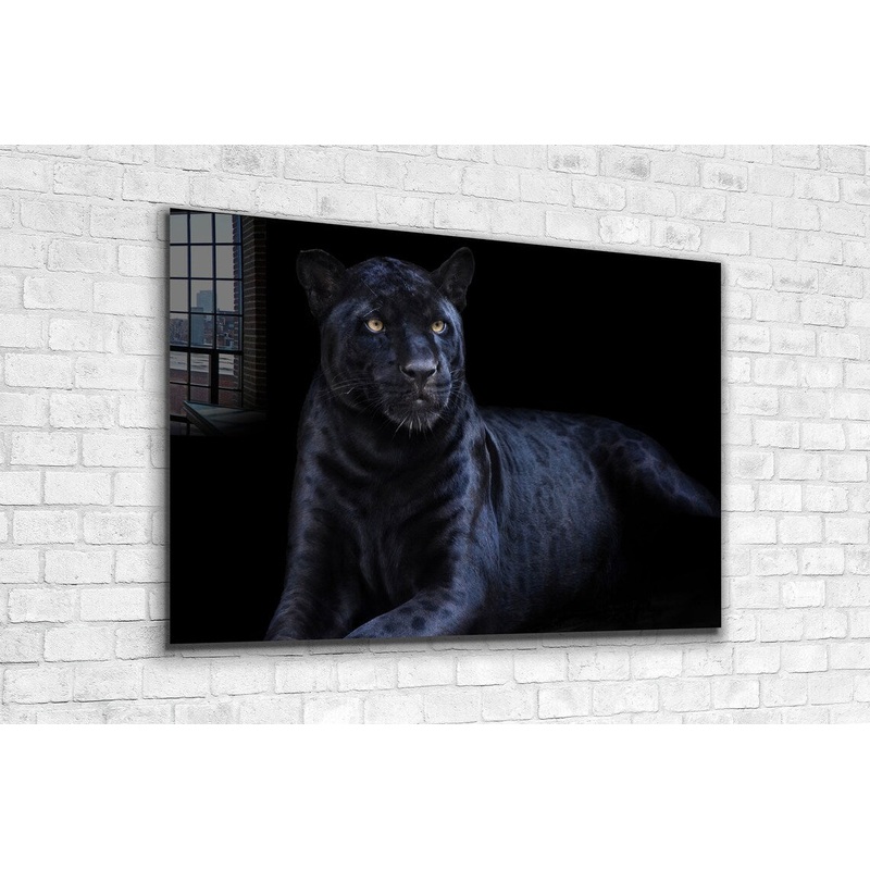 Black Panther Closeup UV Direct Aluminum Print Australian Made Quality