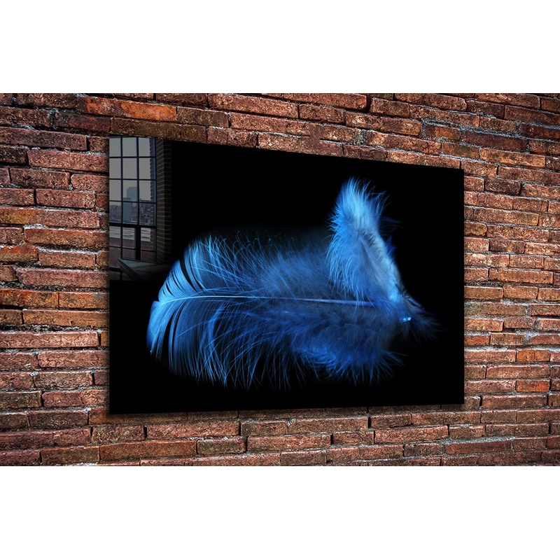 Blue Feather on Dark UV Direct Aluminum Print Australian Made Quality