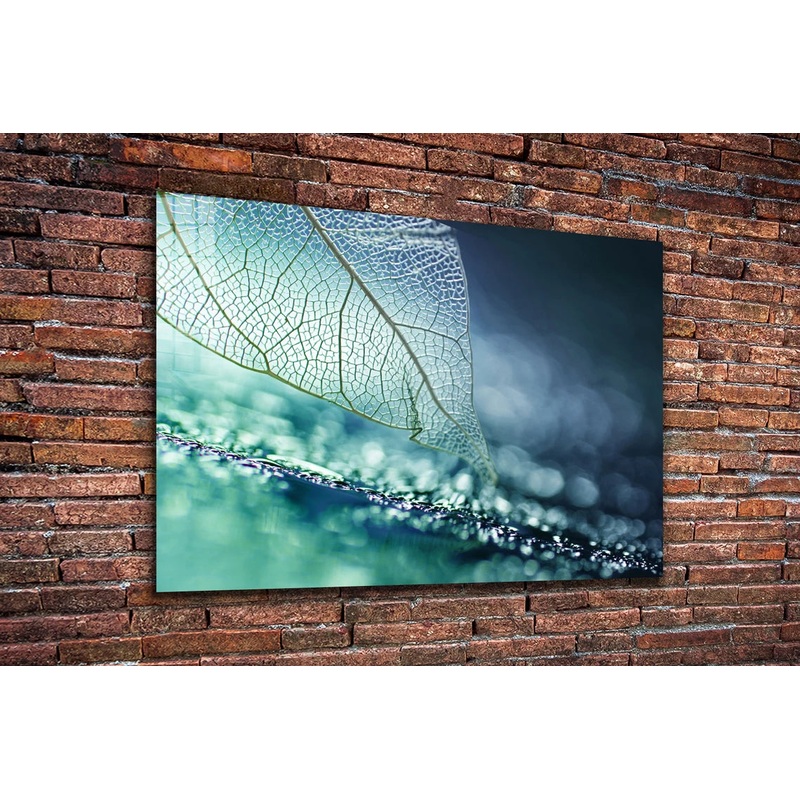 Blue Xray Leaf Digital UV Direct Aluminum Print Australian Made Quality