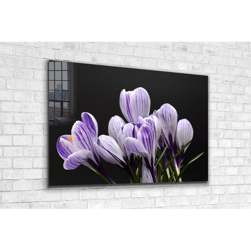 Crocus Violet Flowers UV Direct Aluminum Print Australian Made Quality