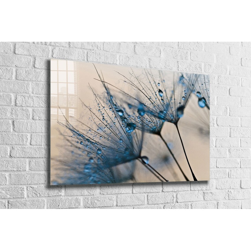 Dandelion Abstract View UV Direct Aluminum Print Australian Made Quality