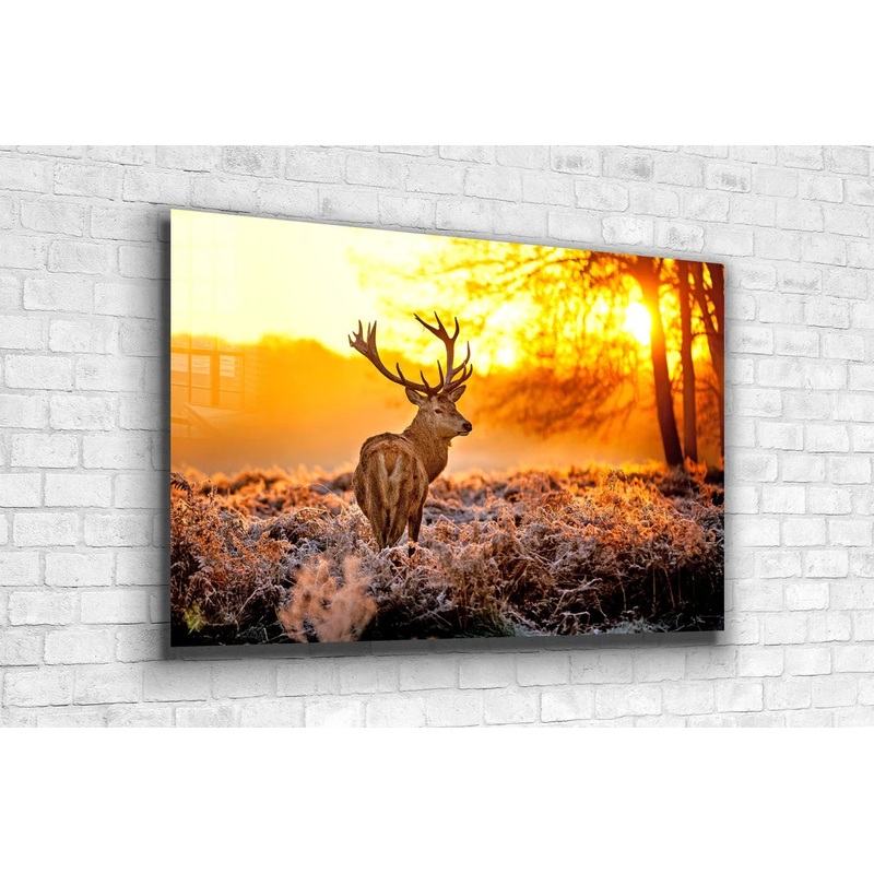 Deer on Forest Sunset UV Direct Aluminum Print Australian Made Quality