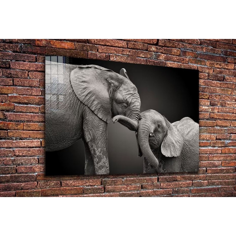 Elephant Baby B&W View UV Direct Aluminum Print Australian Made Quality