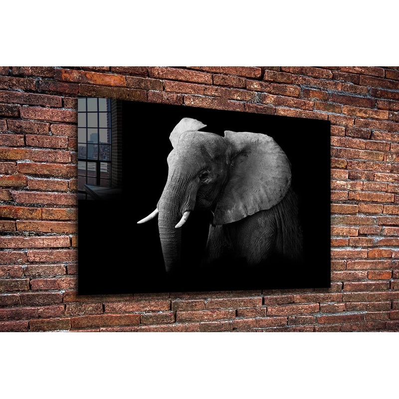 Elephant on Dark B&W UV Direct Aluminum Print Australian Made Quality