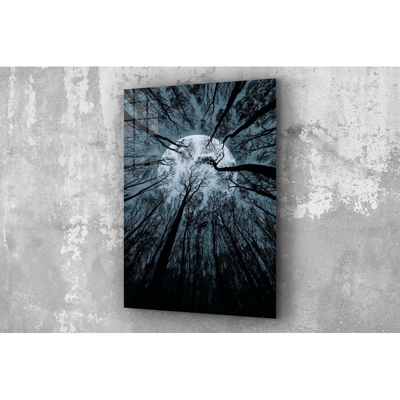 Full Moon Trees View UV Direct Aluminum Print Australian Made Quality
