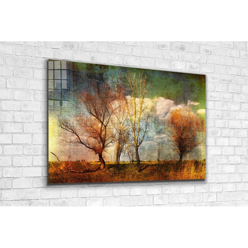 Leafless Trees Field UV Direct Aluminum Print Australian Made Quality