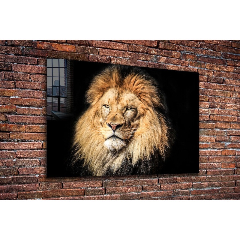 Lion Face Closeup View UV Direct Aluminum Print Australian Made Quality