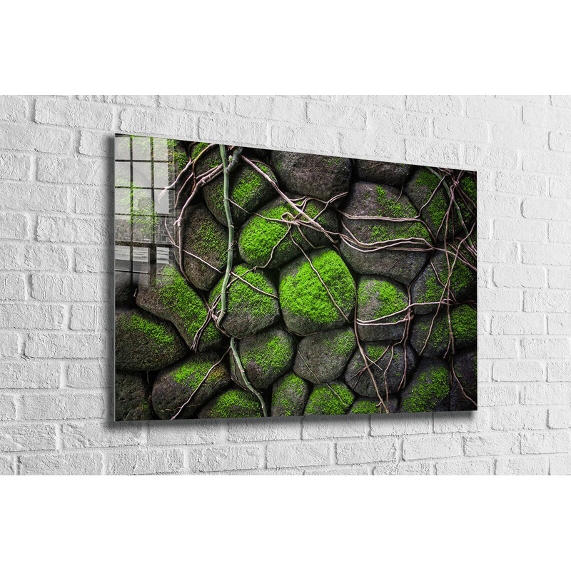 Rocks in the Moss UV Direct Aluminum Print Australian Made Quality