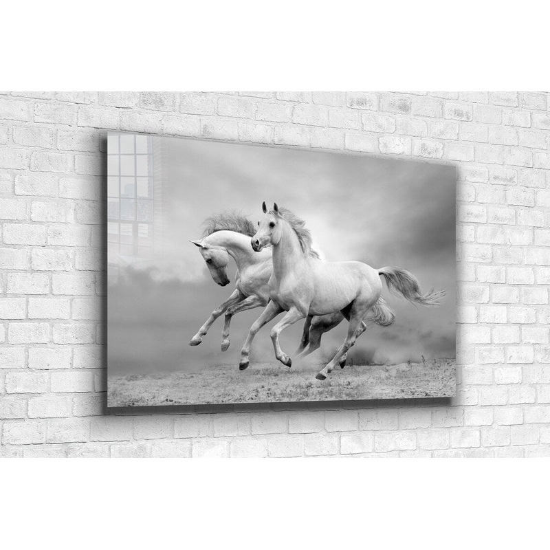 Running Horses B&W UV Direct Aluminum Print Australian Made Quality