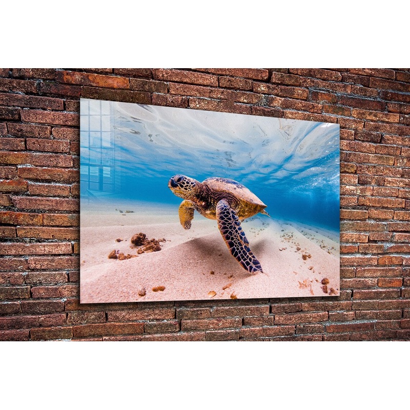 Sea Turtle View Ocean UV Direct Aluminum Print Australian Made Quality