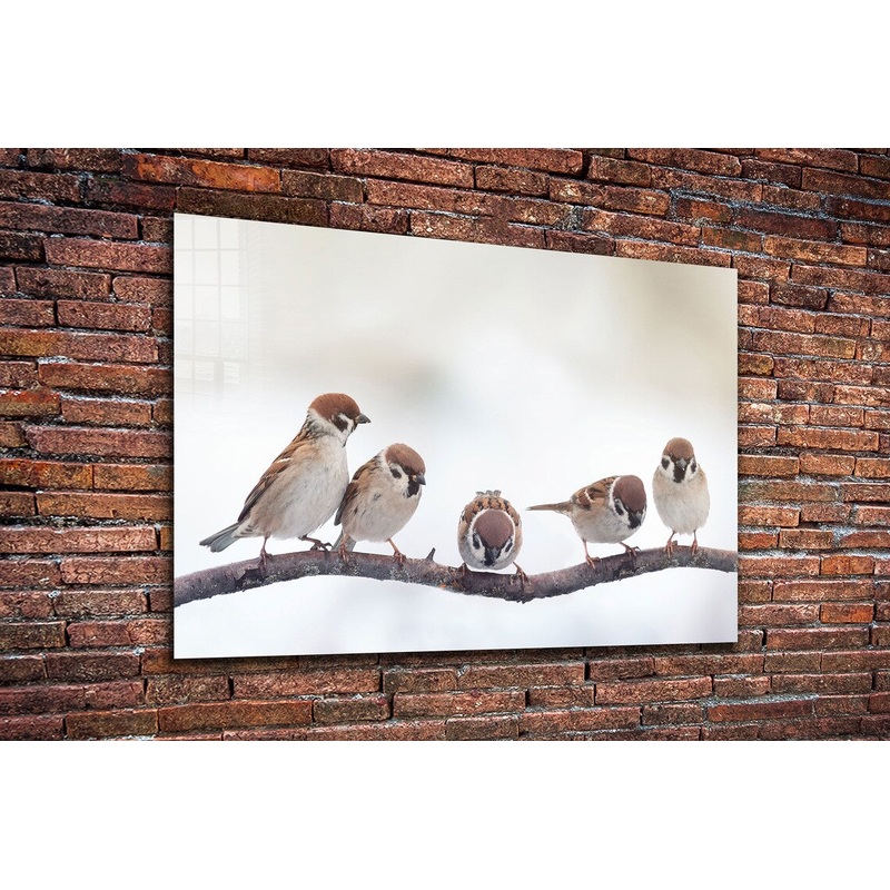 Sparrow Birds on Branch UV Direct Aluminum Print Australian Made Quality