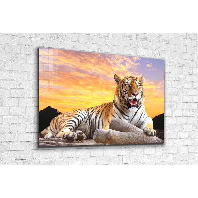 Tiger Sunset Sky View UV Direct Aluminum Print Australian Made Quality