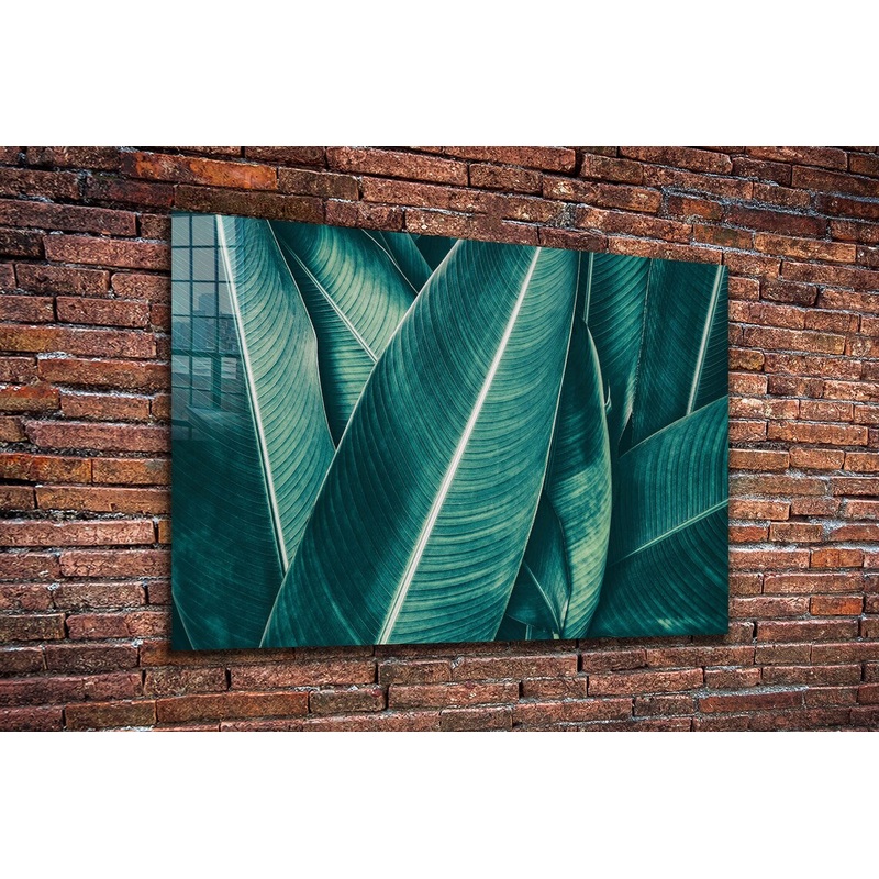 Tropical Green Leaves UV Direct Aluminum Print Australian Made Quality