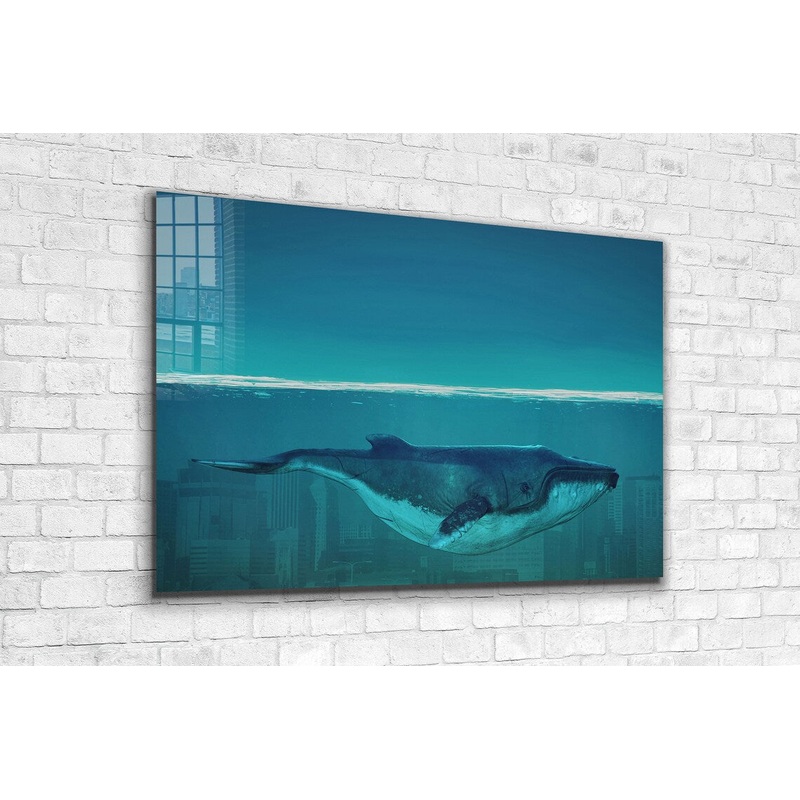 Whale Underwater View UV Direct Aluminum Print Australian Made Quality