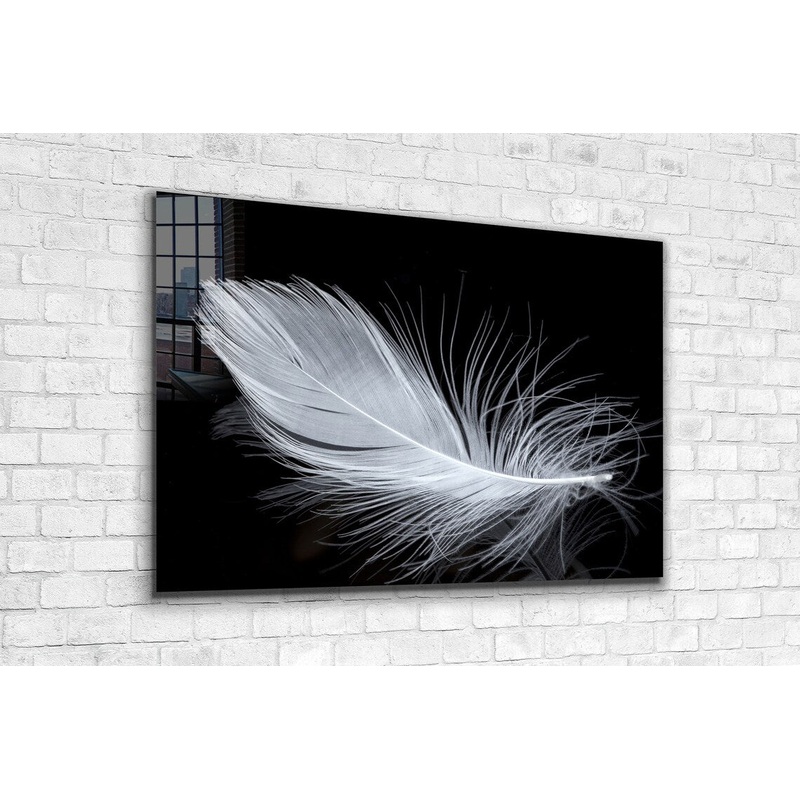 White Feather View UV Direct Aluminum Print Australian Made Quality