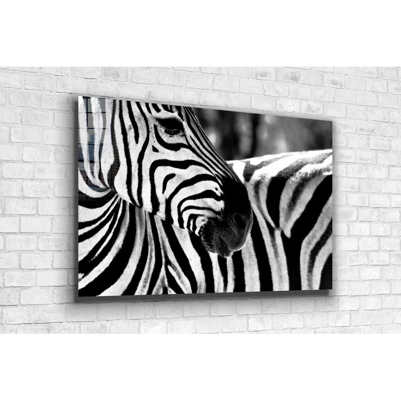 Zebra Face B&W Closeup UV Direct Aluminum Print Australian Made Quality
