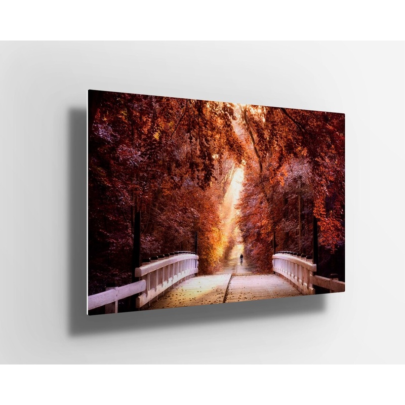 Autumn orange trees forest with path UV Direct Aluminum Print Australian Made Quality