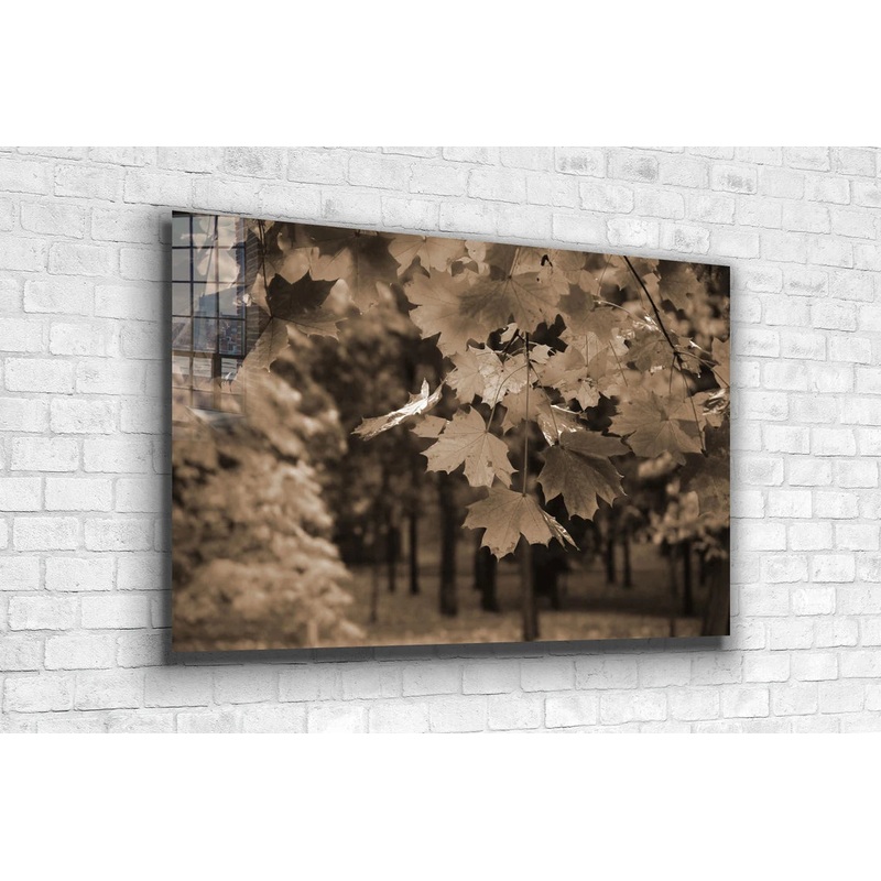 Autumn Tree Faded View UV Direct Aluminum Print Australian Made Quality