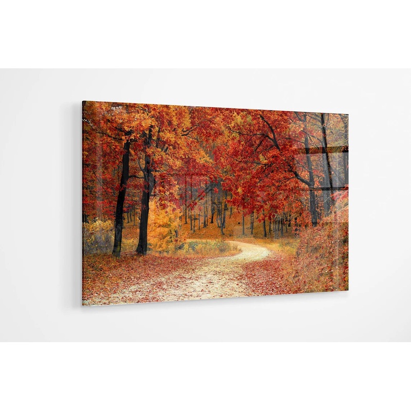 Autumn tree scene warm red orange lounge UV Direct Aluminum Print Australian Made Quality