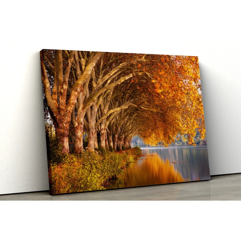 Autumn Trees River Scene UV Direct Aluminum Print Australian Made Quality