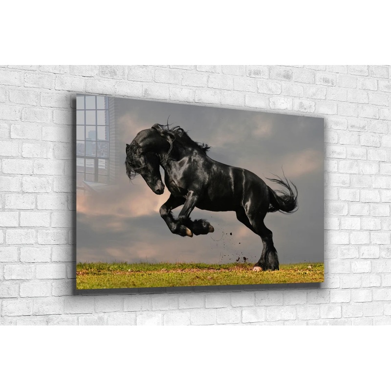 Black Horse Running UV Direct Aluminum Print Australian Made Quality