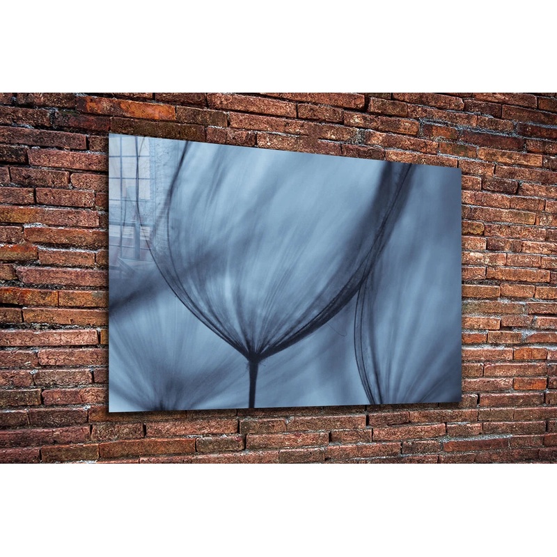 Blue Dandelion View UV Direct Aluminum Print Australian Made Quality