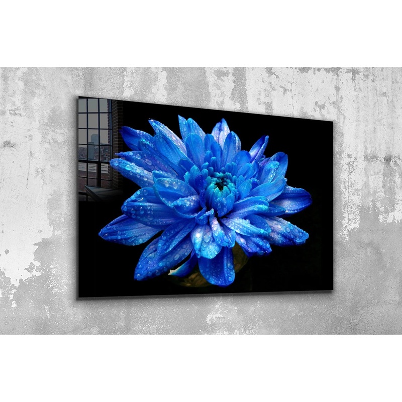 Blue Flower Bloom View UV Direct Aluminum Print Australian Made Quality