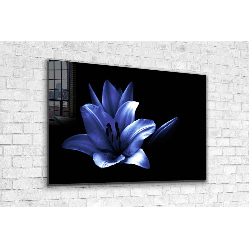 Blue Flower on Dark UV Direct Aluminum Print Australian Made Quality