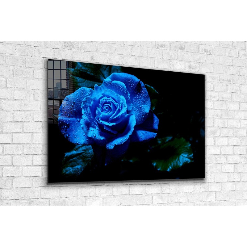 Blue Rose Waterdrops UV Direct Aluminum Print Australian Made Quality