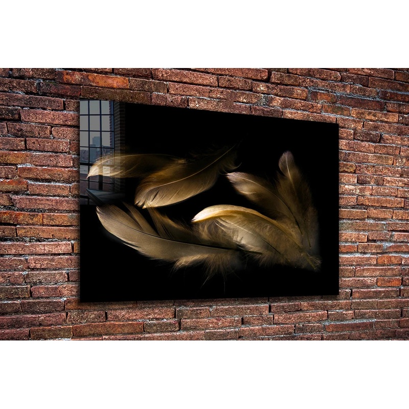 Brown Feathers on Dark UV Direct Aluminum Print Australian Made Quality