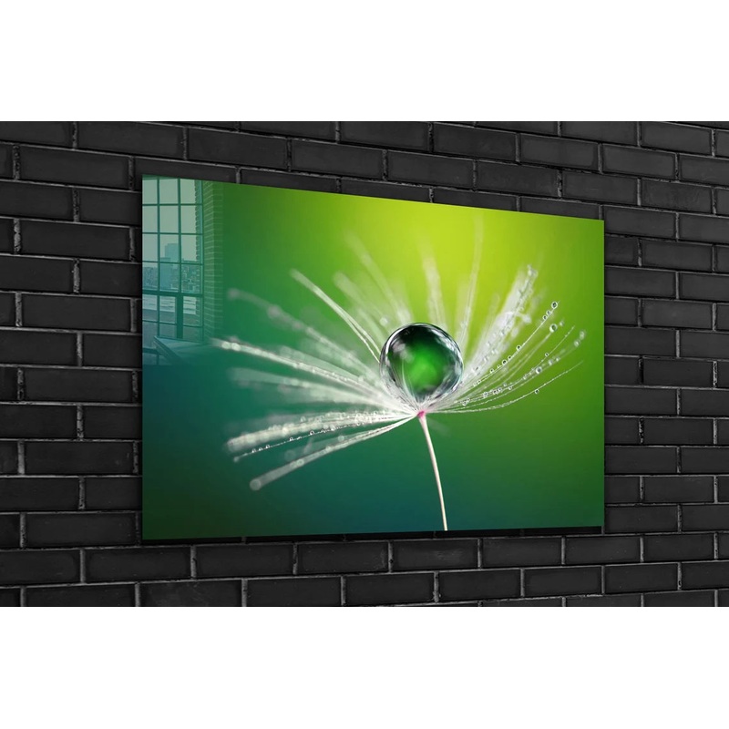Dandelion Droplet View UV Direct Aluminum Print Australian Made Quality