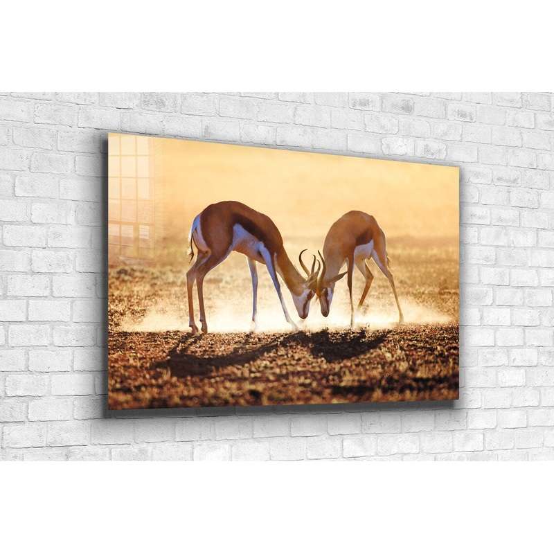 Deer Landscape View UV Direct Aluminum Print Australian Made Quality