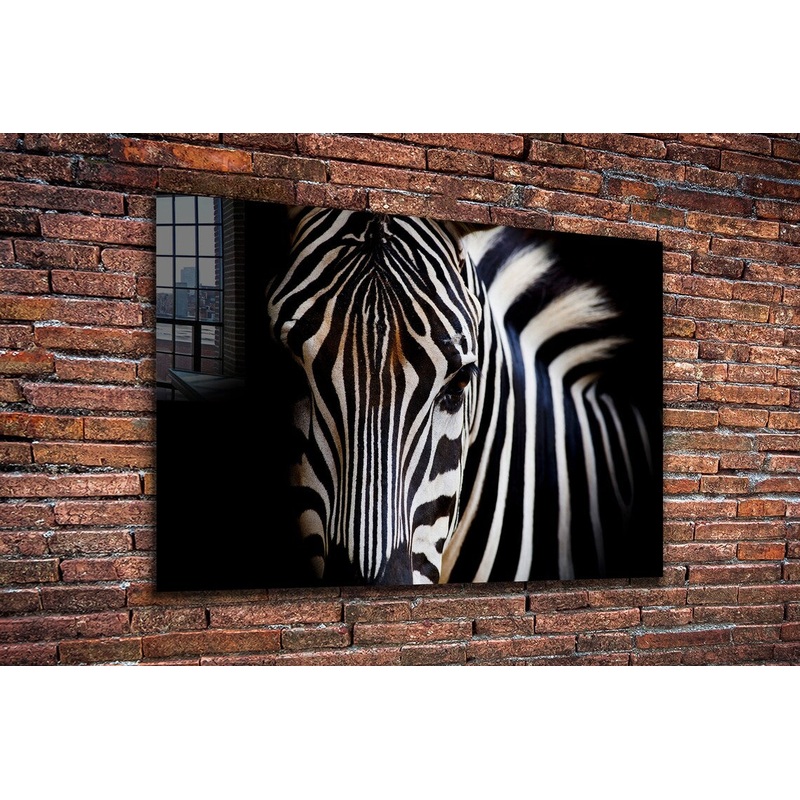 Equus Zebra Closeup B&W UV Direct Aluminum Print Australian Made Quality