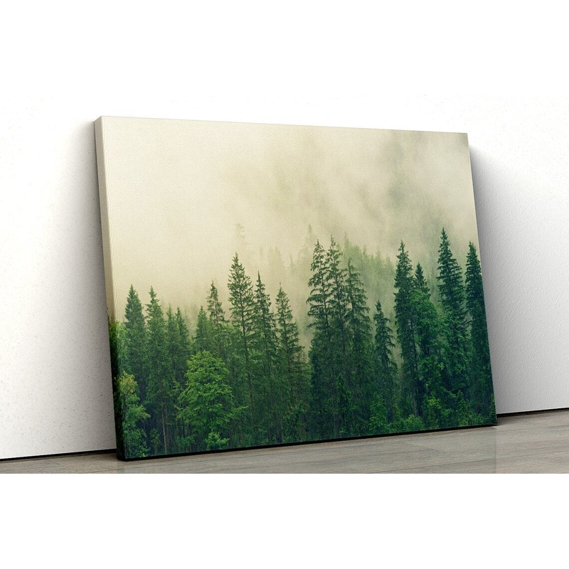 Green forest foggy minimalistic UV Direct Aluminum Print Australian Made Quality