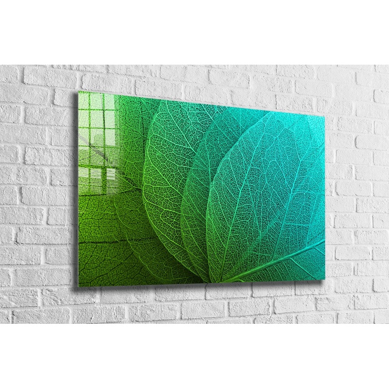 Green Xray Leaves View UV Direct Aluminum Print Australian Made Quality