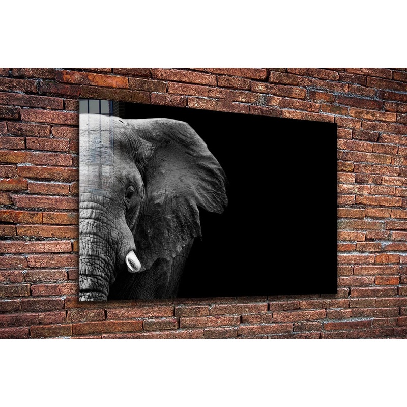 Half Face Elephant B&W UV Direct Aluminum Print Australian Made Quality