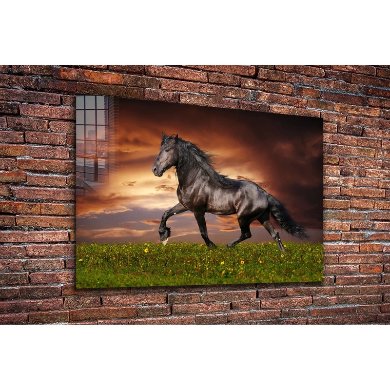 Horse in Grass Field UV Direct Aluminum Print Australian Made Quality