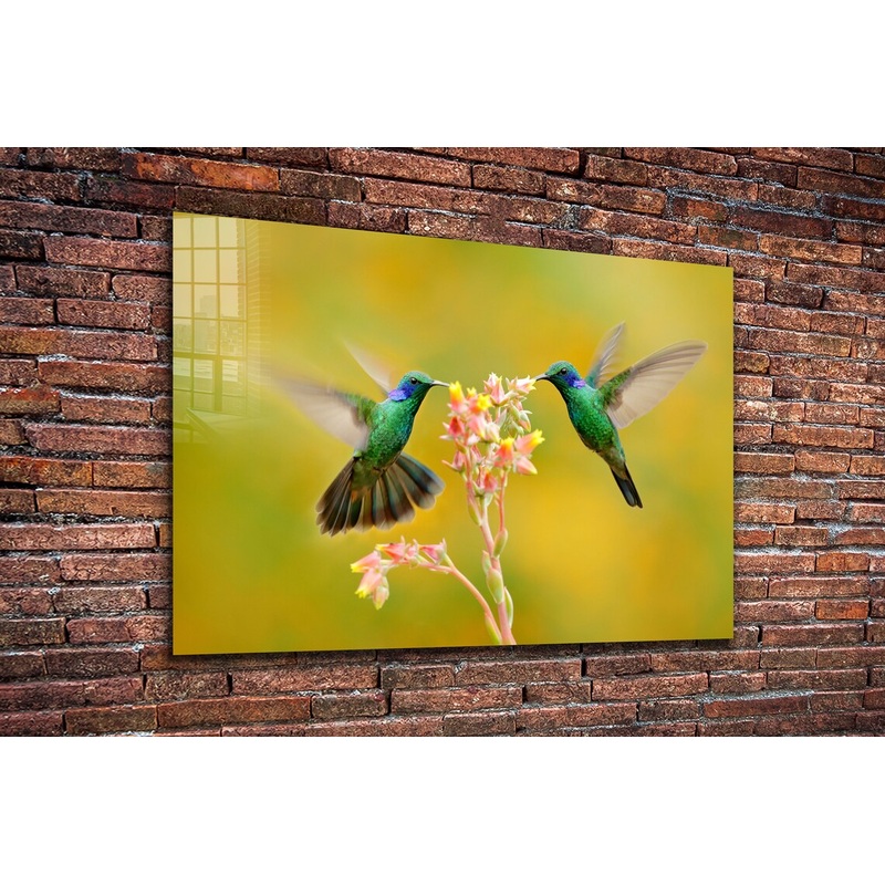 Hummingbirds & Flower UV Direct Aluminum Print Australian Made Quality