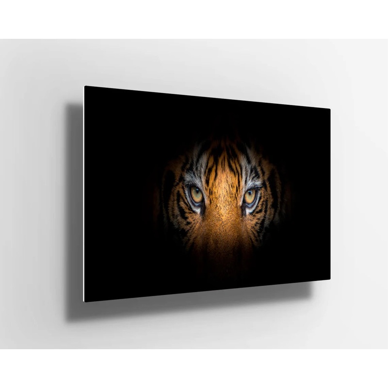 Large Tiger eyes UV Direct Aluminum Print Australian Made Quality