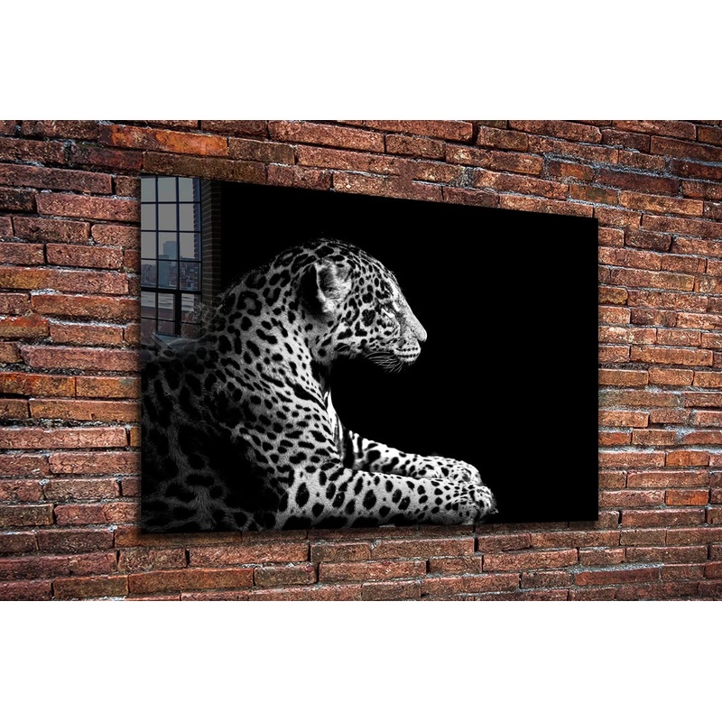 Leopard B&W View UV Direct Aluminum Print Australian Made Quality
