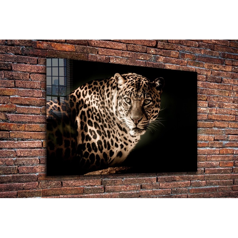 Leopard Closeup View UV Direct Aluminum Print Australian Made Quality