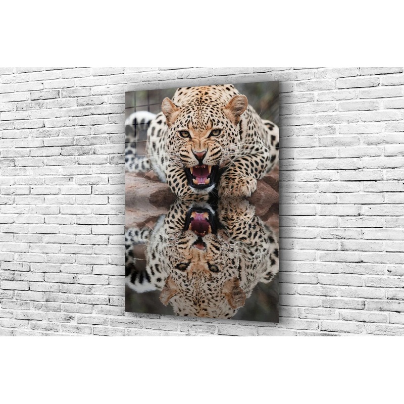 Leopard Reflect Water UV Direct Aluminum Print Australian Made Quality