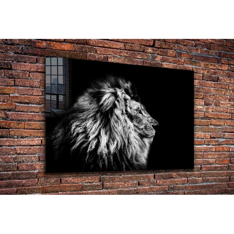 Lion B&W Side View UV Direct Aluminum Print Australian Made Quality