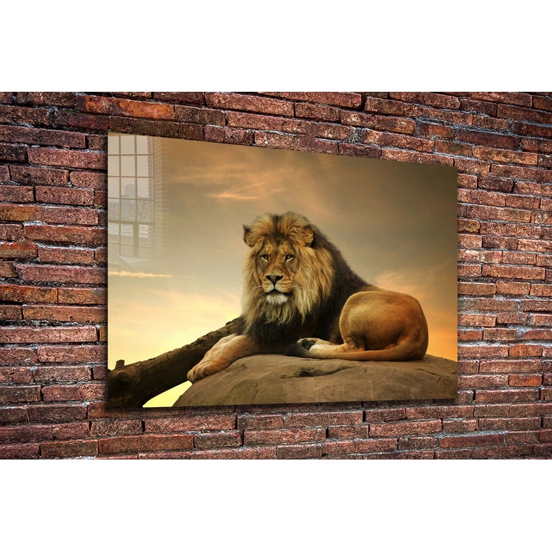 Lion on Rock Sunset Sky UV Direct Aluminum Print Australian Made Quality